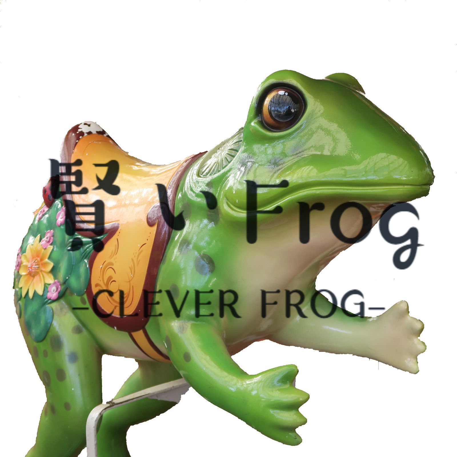 賢いFrog